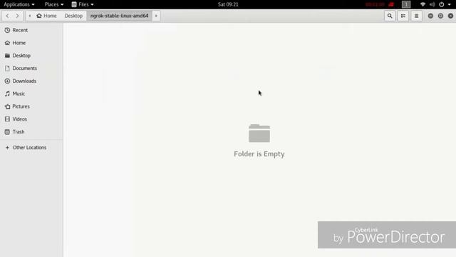 How to download, install and use ngrok for easy port forwading on kali linux 2018.3 смотреть онлайн