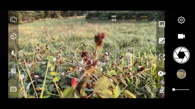 Best DSLR Camera App For Your Phone || Batter Than Google Camera ! 📷 смотреть онлайн