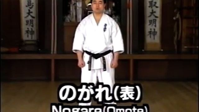 Kyokushin Karate Encycklopedia. Фильм №2. Энциклопедия Киокушин каратэ. Uchi, Geri, Dachi, Kicks. смотреть онлайн