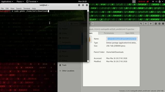 How to Create a Bootable Windows Installer Using Woeusb Kali Linux смотреть онлайн