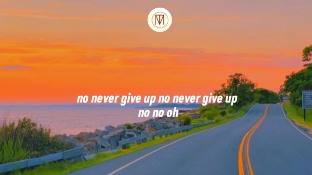 Never Give Up - Sia ( Lyrics )#sia #nevergiveup #lyrics