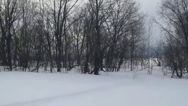 Тест драйв "Акулы" смотреть онлайн