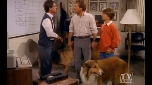 The New Lassie (Season 2 Eps.23) смотреть онлайн