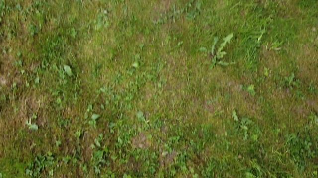 Др Маша 1 смотреть онлайн