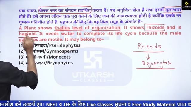NEET Gear Up MCQ Batch | Plant Kingdom | Biology | Nahata Sir смотреть онлайн