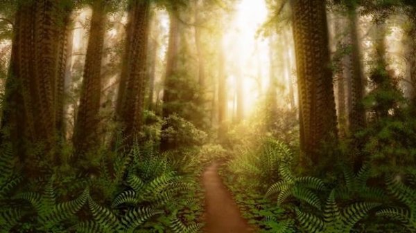 Sounds of Ekorce (Mix) {Visuals by Simon Haiduk} [Psybass _ Organic Downtempo]