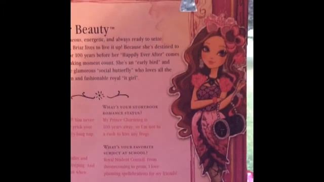 Ever After High Briar Beauty Doll Review смотреть онлайн