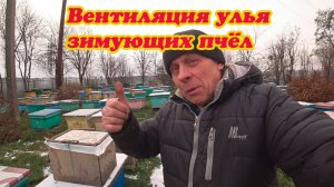 КАК МЫ ОРГАНИЗУЕМ ВЕНТИЛЯЦИЮ УЛЬЯ ВО ВРЕМЯ ЗИМОВКИ В НЁМ ПЧЁЛ, ОТВЕТЫ НА КОММЕНТАРИИ.