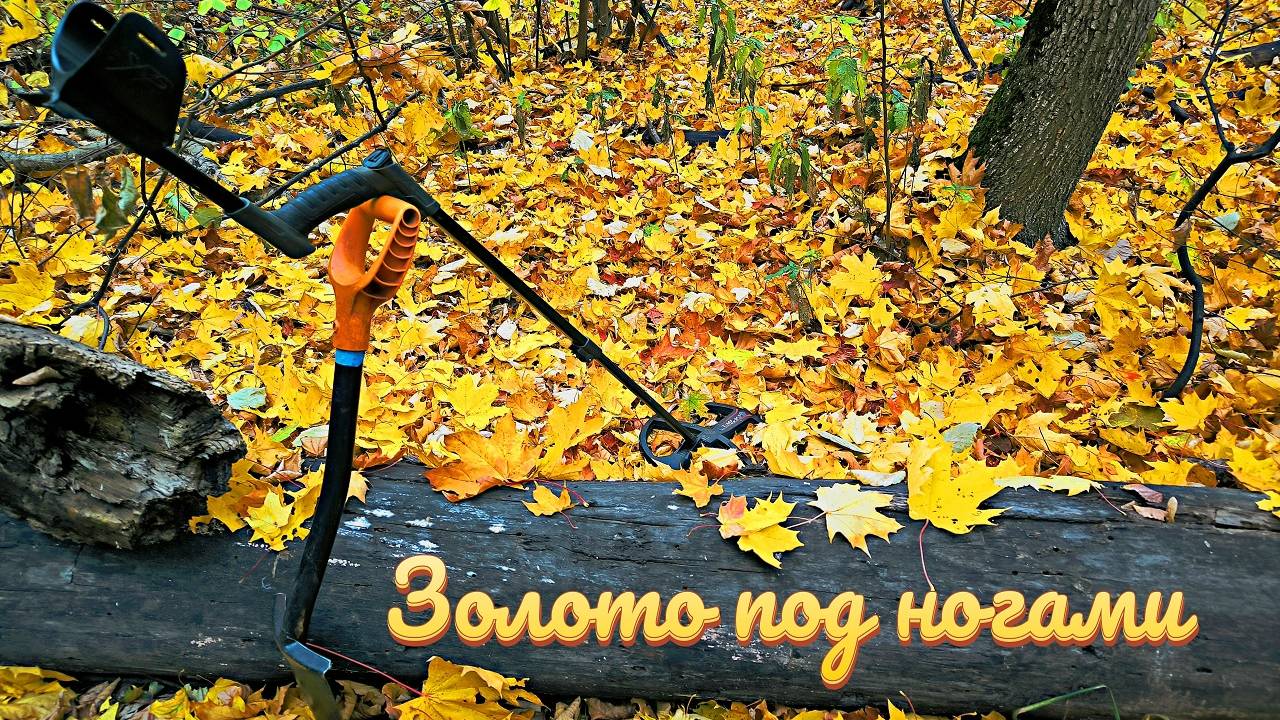 Осенний коп