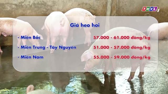 Bản tin thị trường (27/06/2022) смотреть онлайн
