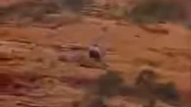 Carrera Contra El Destino 1997 Pelicula completa смотреть онлайн