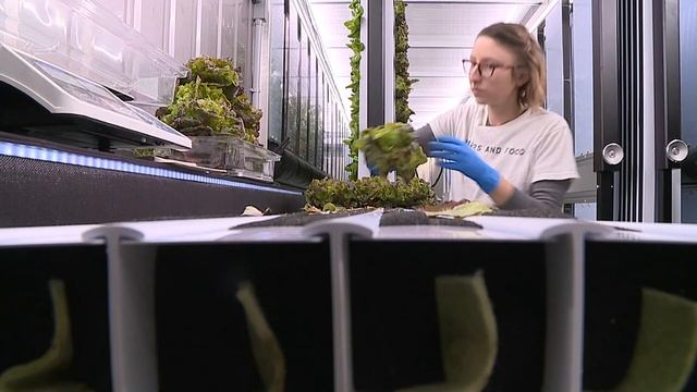 Tapestry Farms grows fresh produce year-round in freight container смотреть онлайн