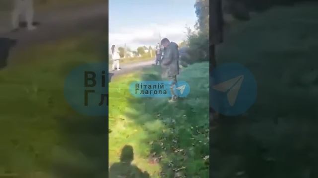 Боевые овечки дали бой свиньям из тцк смотреть онлайн