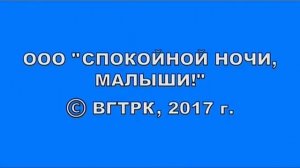 OOO "Спокойной ночи, малыши!" © ВГТРК, 2017 г.