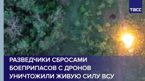 Разведчики сбросами боеприпасов с дронов уничтожили живую силу ВСУ в Харьковской области