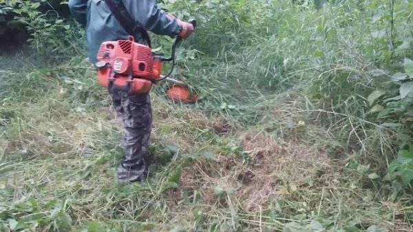 Oleo Mac 755 master a bozótosban!💪👌