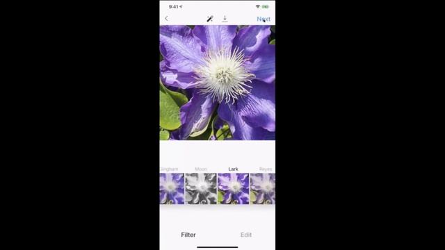 How to use Instagram on iPhones and Android phones, for complete beginners, with Lynn смотреть онлайн