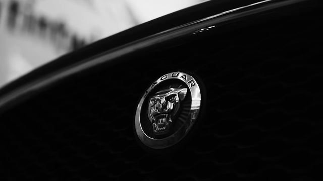 2020 Jaguar F-Pace Wrap Avery Matte Olive Green смотреть онлайн