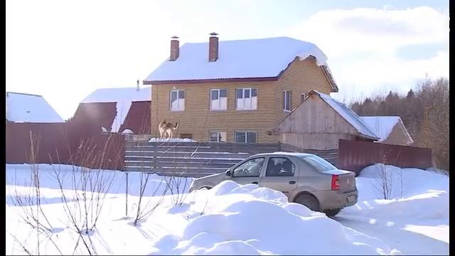 Без газа могут остаться более 50 домов в Череповецком районе смотреть онлайн