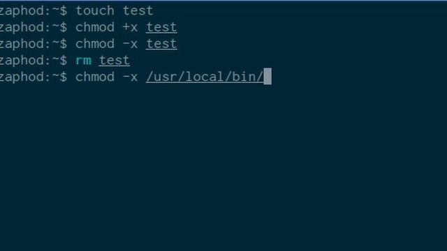 Demonstration of zsh-dwim's chmod Transform смотреть онлайн