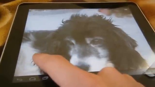 3Q q-pad RC9724C смотреть онлайн