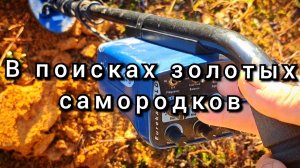 В поисках золотых самородков