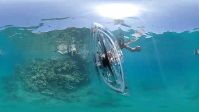 360° VR Snorkeling at Stella di Mare Makadi Bay Hurghada Egypt 6K 3D Virtual Reality HD 4K Holiday смотреть онлайн