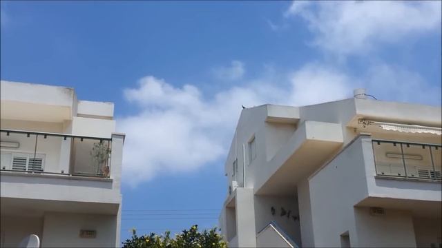 Birdy App - pigeon & pest bird repellent app for Android смотреть онлайн