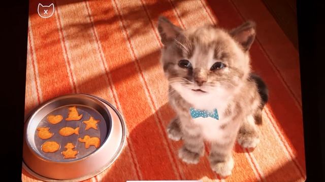 CHRISTMAS LITTLE KITTEN ADVENTURE FOR TODDLERS - SPECIAL LONG SANTA JOURNEY FOR KIDS смотреть онлайн