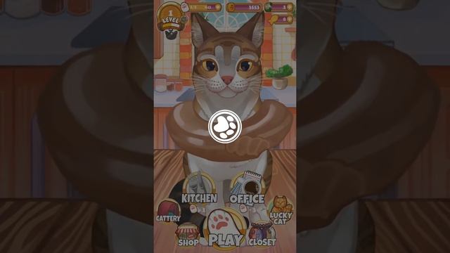 Cat Tap™ Android/iOS Gameplay ᴴᴰ смотреть онлайн