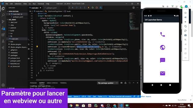 Package URL Launcher Flutter - lancer des urls depuis votre appli (appel, navigateur, sms, mail) смотреть онлайн
