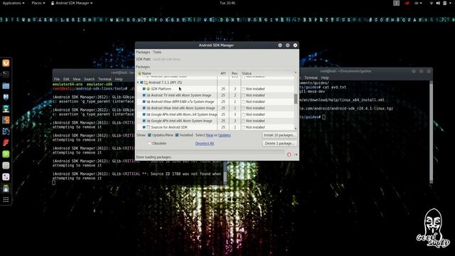 Install an Android Virtual Device on Kali Linux смотреть онлайн