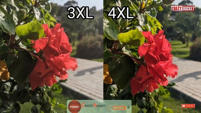Google Pixel 3XL Vs Pixel 4XL comparison🔥|Camera Test 📸|Full Review💯| with all details |crazy bucke смотреть онлайн