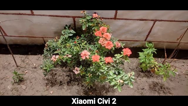 Xiaomi civi 2 vs iPhone 14 review and camera test смотреть онлайн