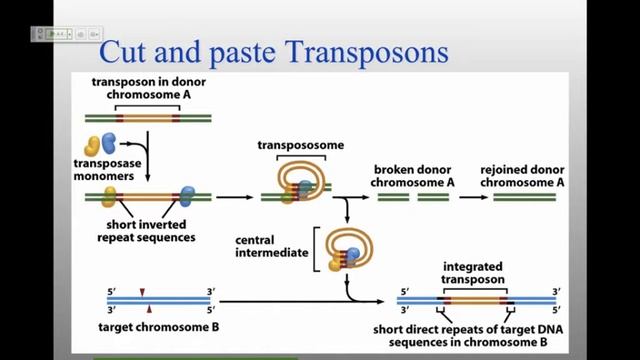 MB_W15_Review2 смотреть онлайн