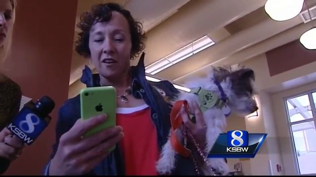 Dog facial recognition app helps families find lost pets смотреть онлайн
