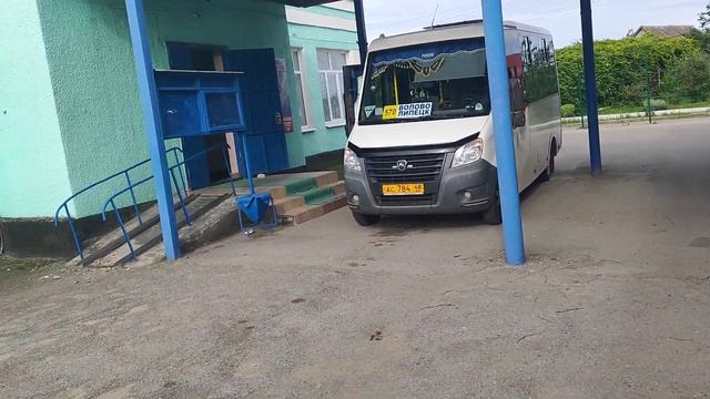 Курочка гуляет на территории автостанции Волово!!! 13.07.2023г.!