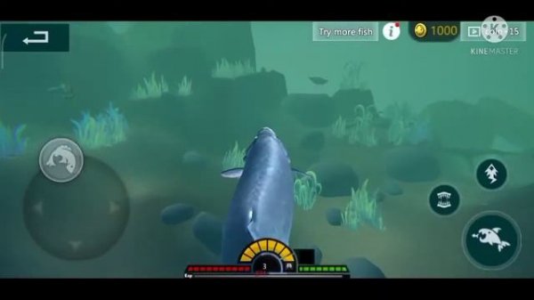 FEED AND GROW FISH ANDROID+DOWNLOAD NO PASSWORD