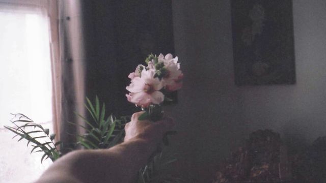 funeral - looking out the window смотреть онлайн