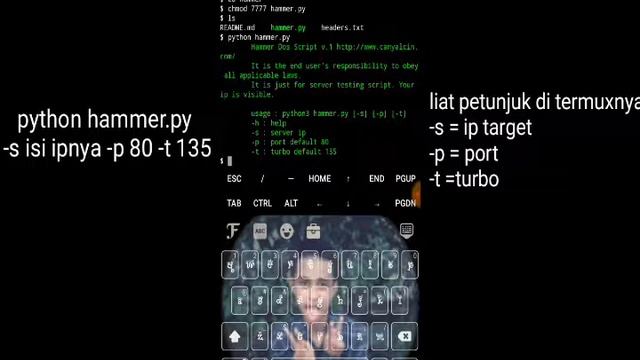 Ddos di hp android menggunakan termux simple (no root) смотреть онлайн