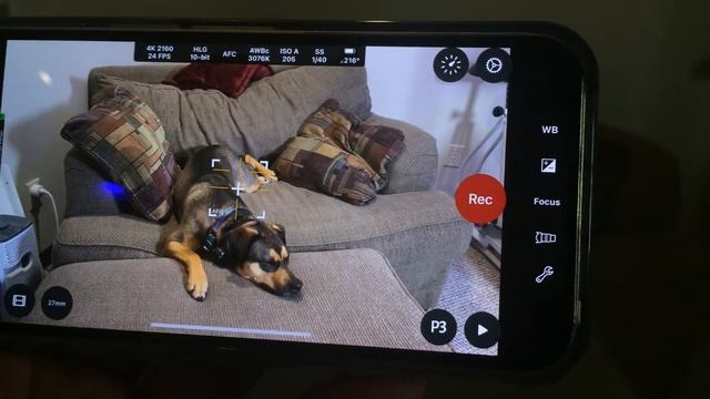 Filmic Pro Legacy vs Cinema P3 - meet my new favorite iOS pro camera camera app | Ever-Curious Geek смотреть онлайн