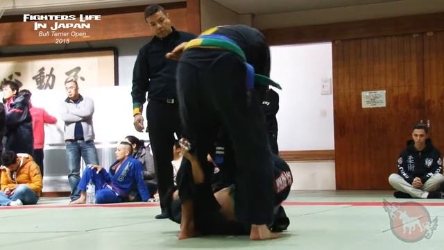 Bull Terrier Open 2015 - Andy Tomas vs Caue Hiey смотреть онлайн
