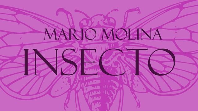 Insecto - Mario Molina | Lyric Video | Demo смотреть онлайн