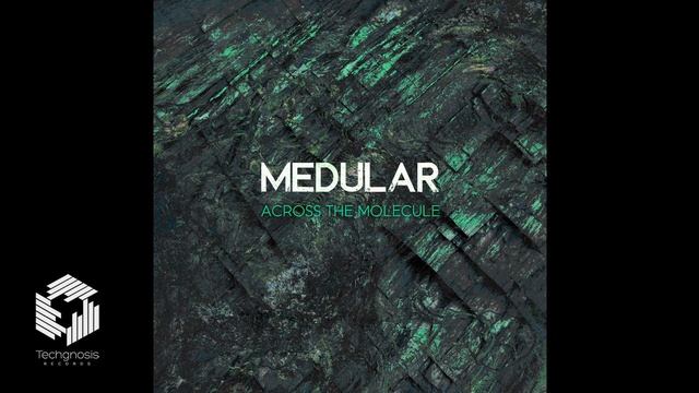 Medular - Grey Matter