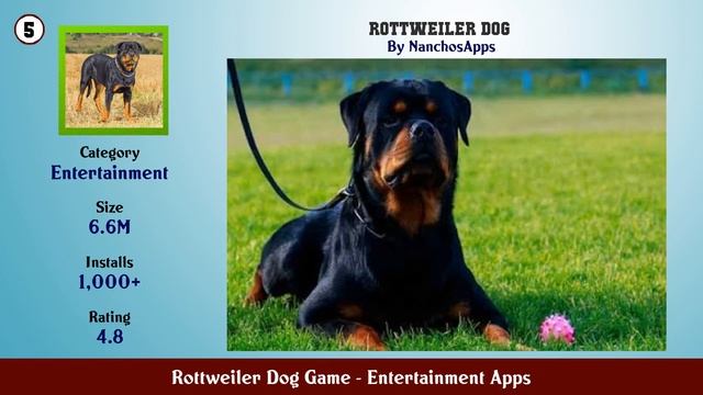 Top 10 Rottweiler Dog Game Android Apps смотреть онлайн