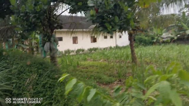 Review Huawei Nova 5T 2022 смотреть онлайн