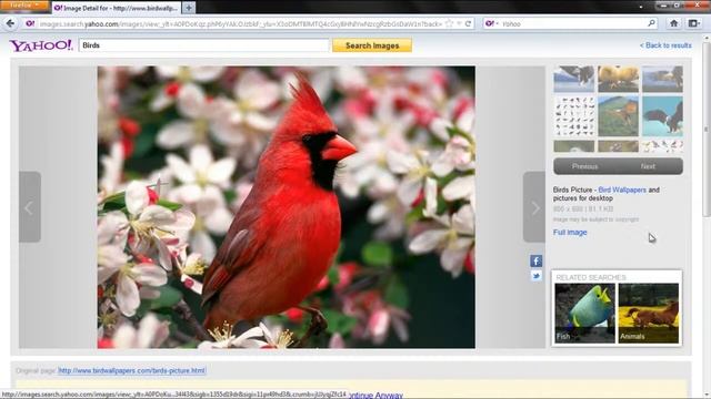 How to search the internet from My Yahoo смотреть онлайн