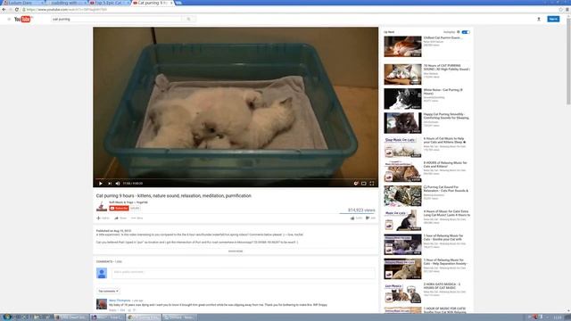 Cat-O-Pult - Ludum Dare 36 Timelapse смотреть онлайн