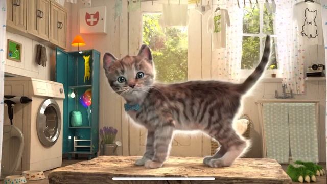 Little Kitten (New Update) - Gameplay Part 8 (iOS Android) - Games For Kids смотреть онлайн