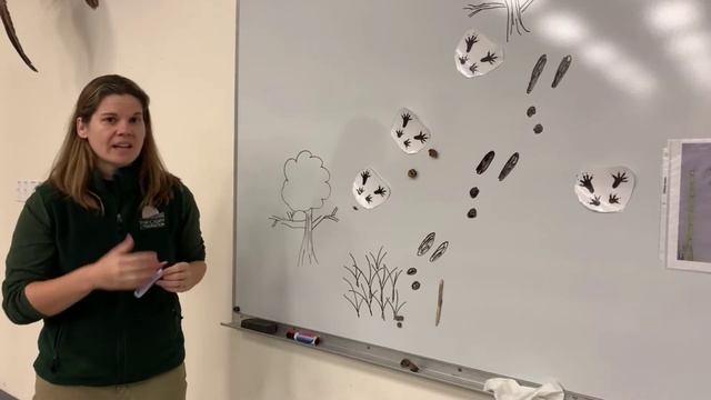 Animal Tracking смотреть онлайн